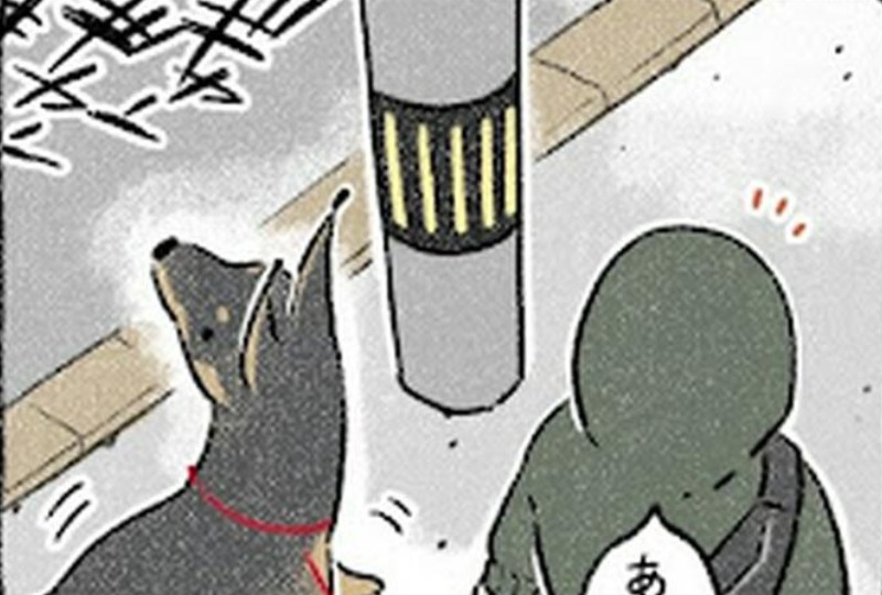 【漫画】第5話：犬も歩けば”電柱”にあたる？散歩中よそ見をしてぶつかるワンコが可愛い♡【ドベくん】