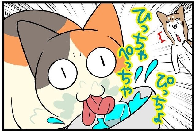 【漫画】第139話：わたしのなのに～！妹猫に氷水を取られちゃった柴犬さん【どんぐりちゃん】