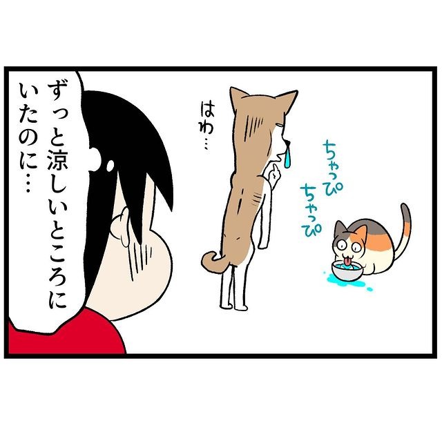 猫　飲む　漫画