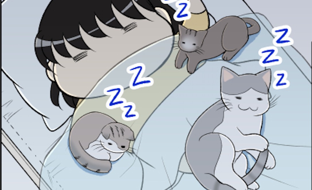 【漫画】第108話：人間は隙間で就寝？！ベッドの使用権利を持つニャンズ♡【ぷぅすけくん】