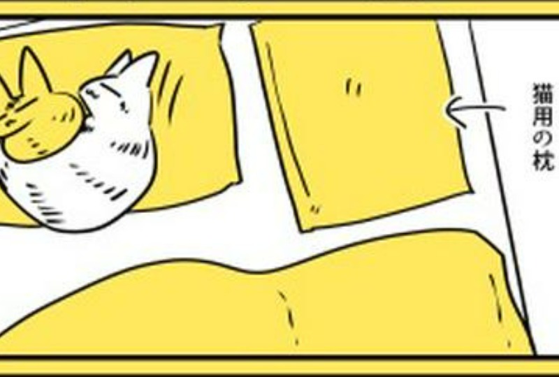 【漫画】第14話：「飼い主さんの枕大好きニャ！」すぐに自分のものにするニャンコたち♡【殿くん】