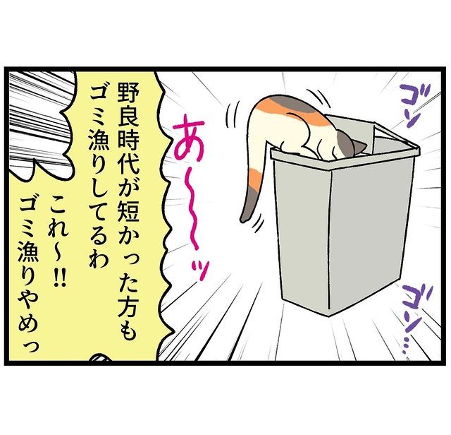 猫　ゴミ箱　漫画