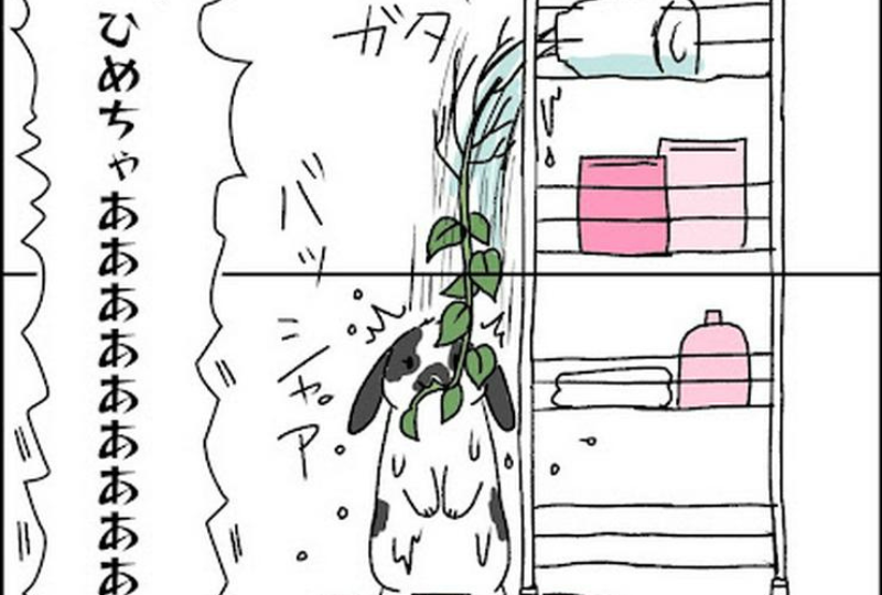 【漫画】第5話：観葉植物引っ張ったら大惨事に？！うさぎさんのイタズラで大波乱！【ひめちゃん】