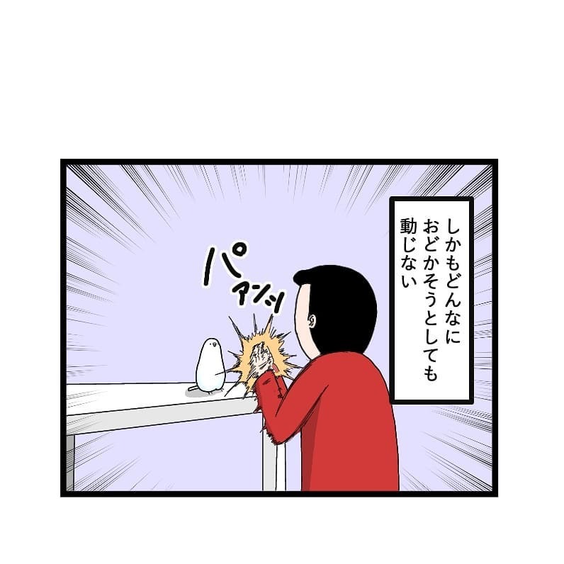 インコ　冷静　漫画