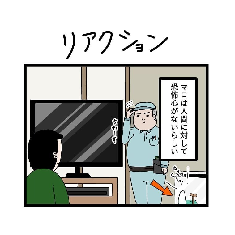 インコ　しゃべる　漫画