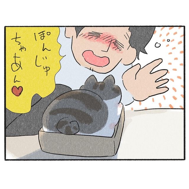 猫　箱　漫画
