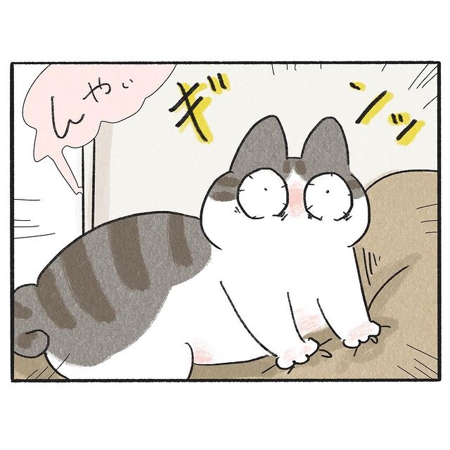 猫　覚醒　漫画