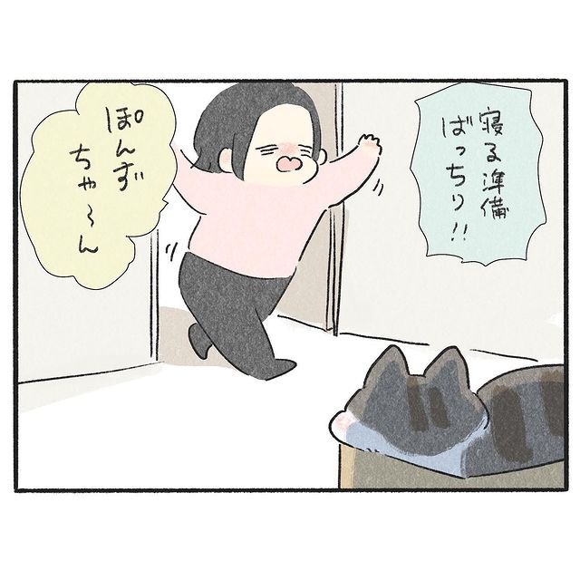 猫　箱　漫画