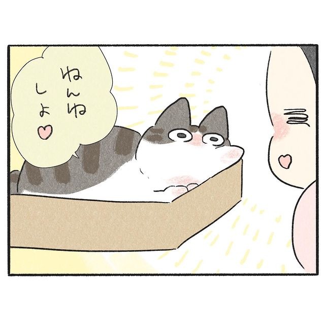 猫　箱　漫画