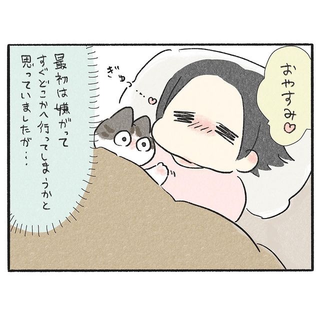 猫　添い寝　漫画