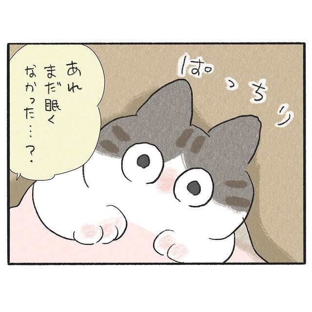 猫　爛々　漫画