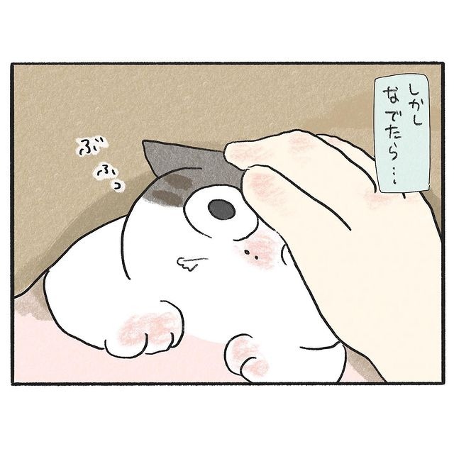 猫　撫でる　漫画