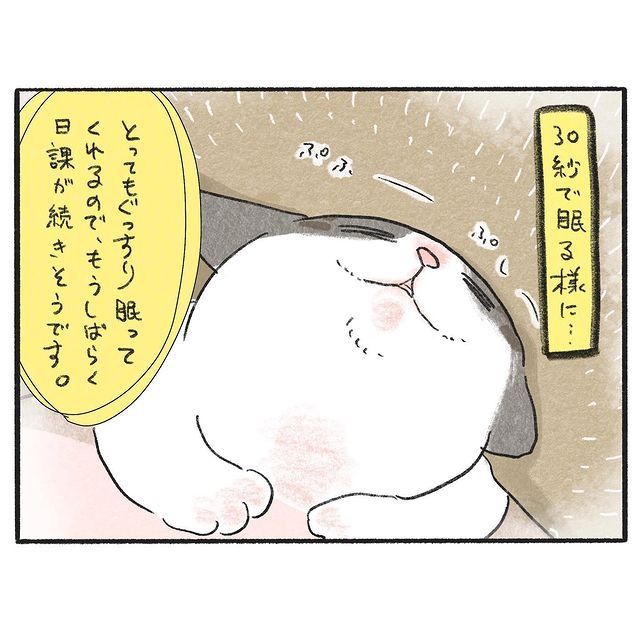 猫　寝る　漫画