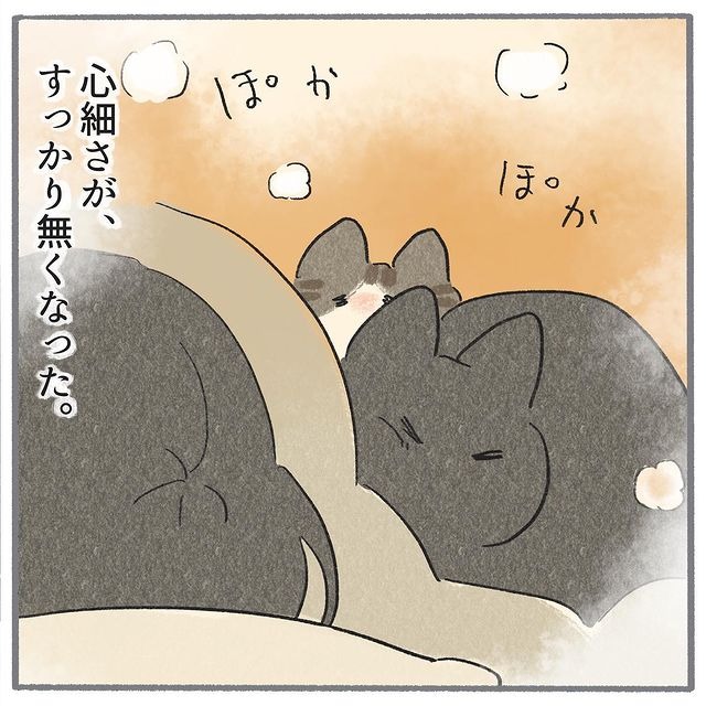 猫　添い寝　漫画