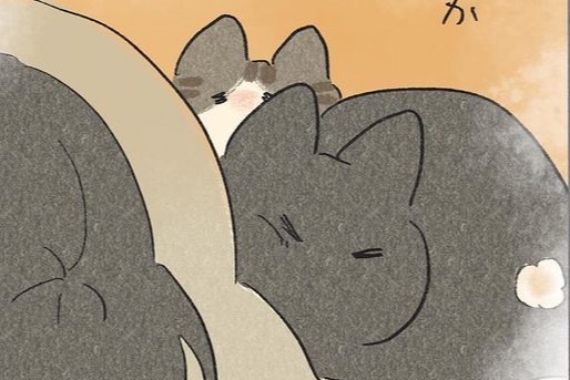 【漫画】第79話：重くても幸せ♡飼い主さんと添い寝するニャンズにほっこり【くろもくん&ぽんずくん】