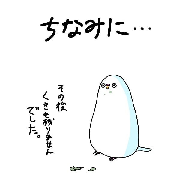 インコ　小松菜　漫画