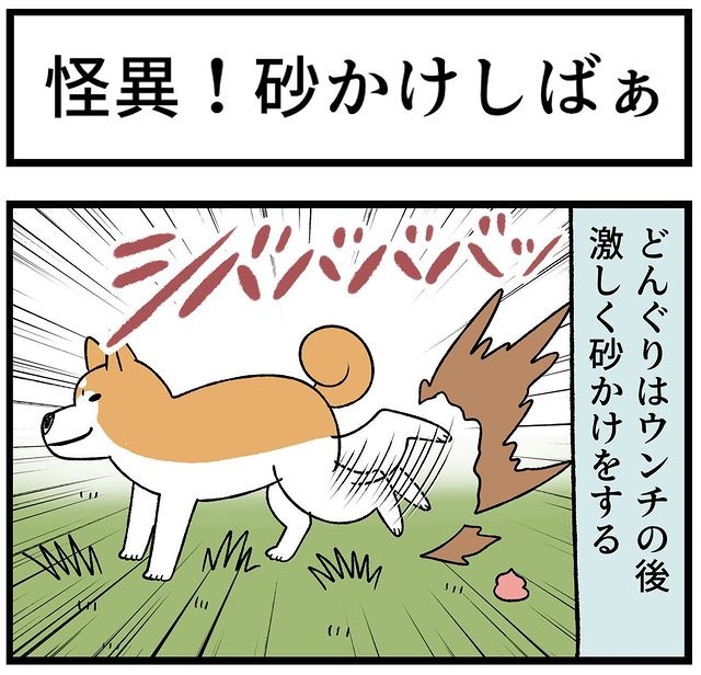 犬　砂　漫画