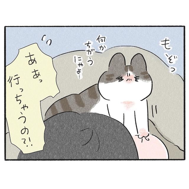 猫　起きる　漫画