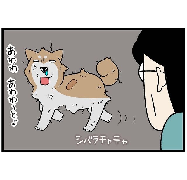 犬　ボロボロ　漫画