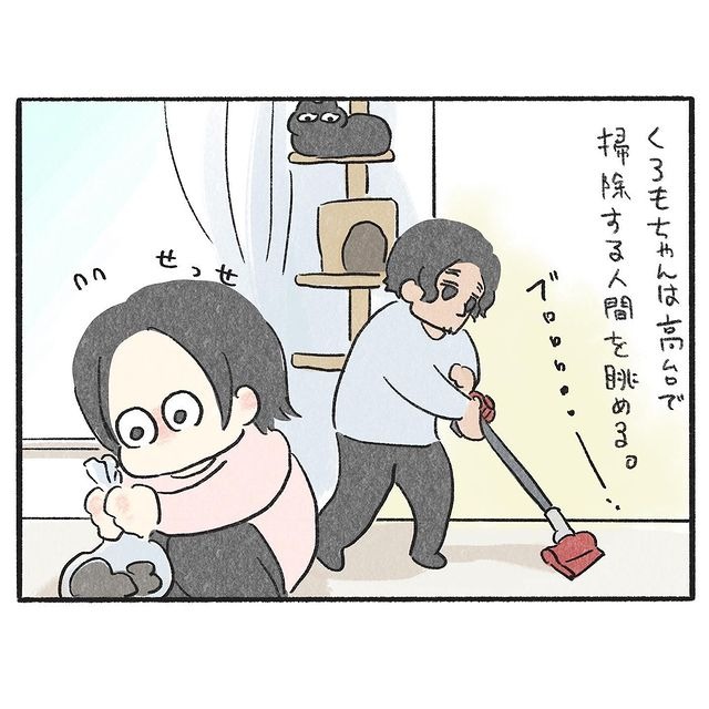猫　掃除　漫画
