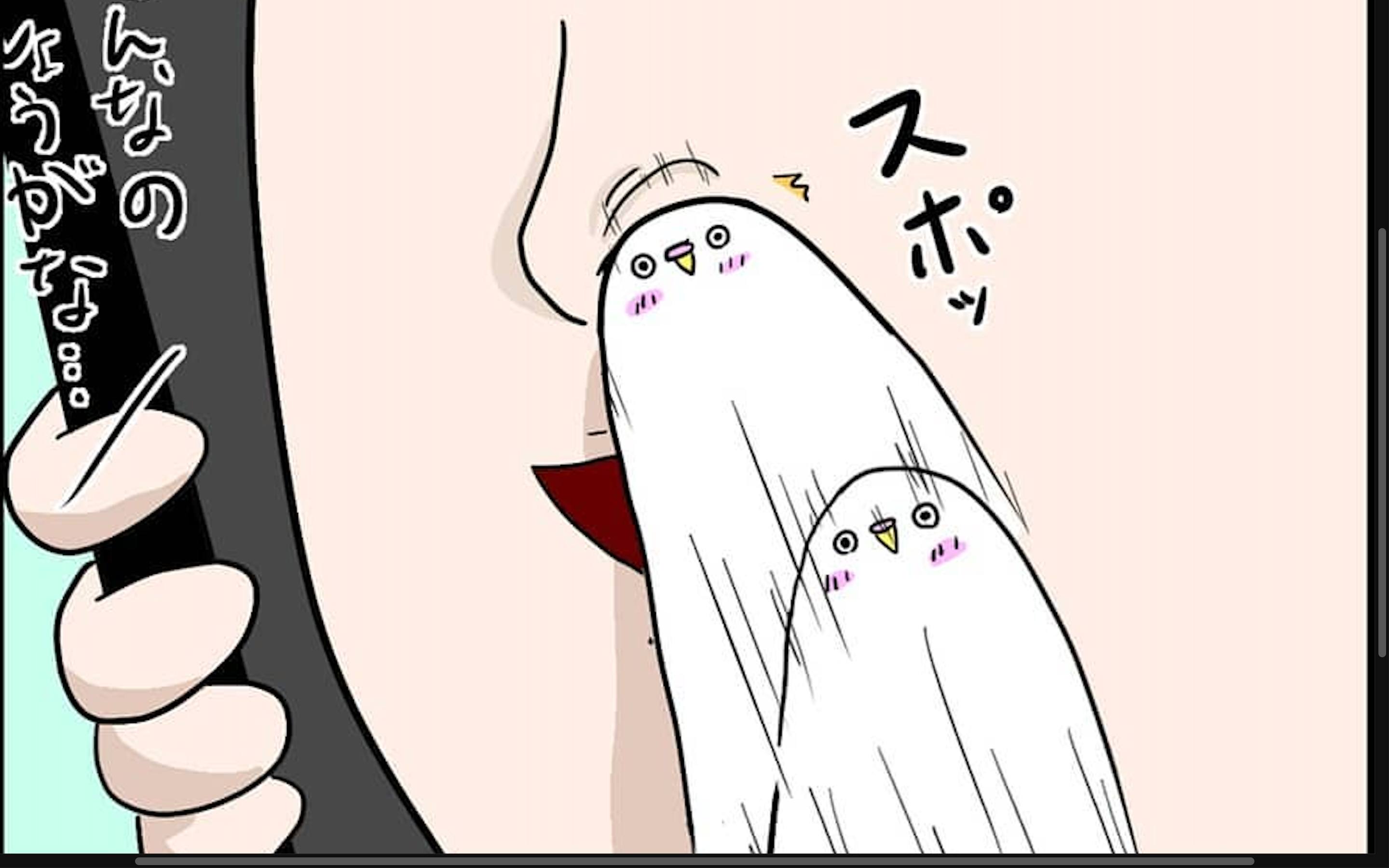 【漫画】第105話：「気になる〜♡」好奇心の強いインコが飼い主さんの鼻の穴に突入！【マロくん】