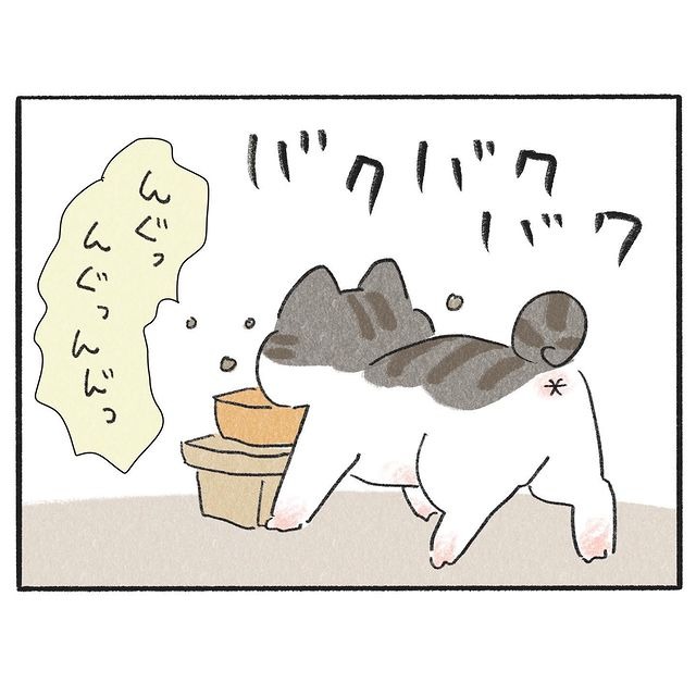 猫　食事　漫画