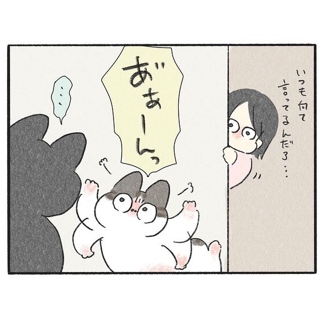 猫　怒る　漫画