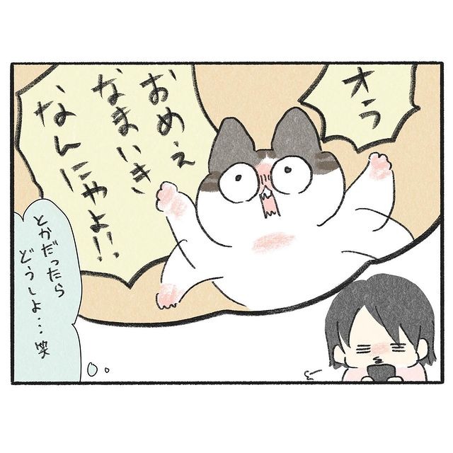 猫　怒る　漫画