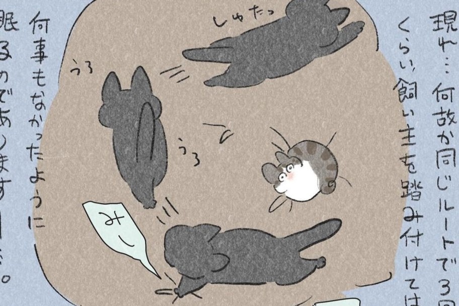 【漫画】第96話：謎だけどおもしろい！黒猫さんの寝る前にする不思議な“ルーティン”【くろもくん】