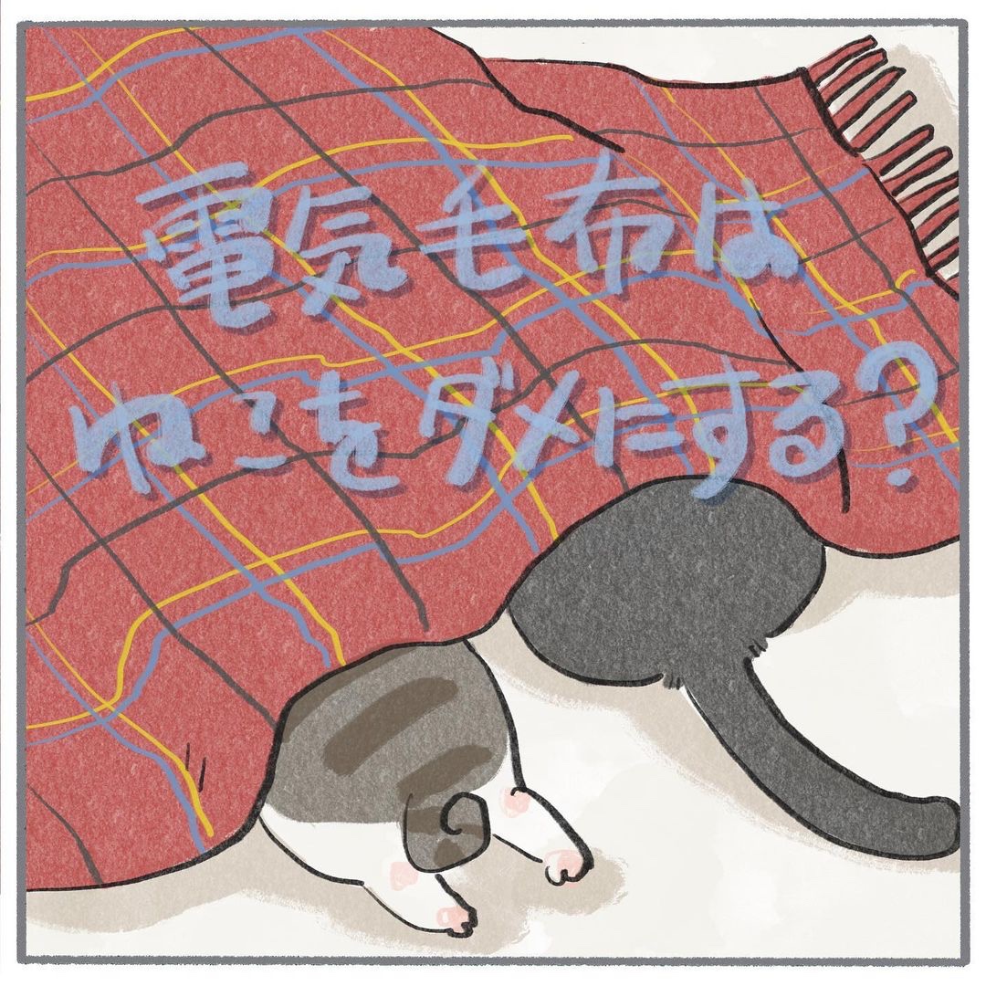 猫　電気毛布　漫画