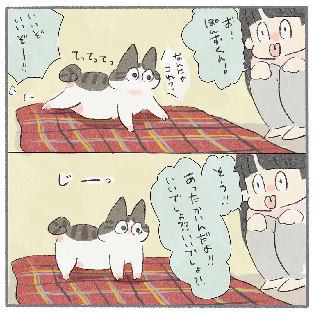 猫　電気毛布　漫画