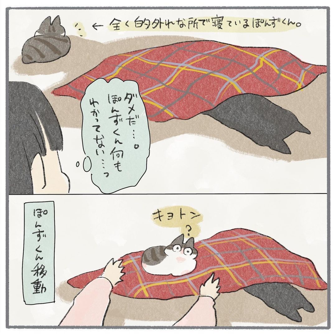 猫　寝る　漫画