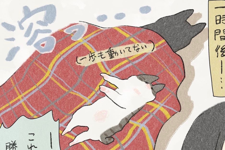 【漫画】第97話：アイスみたいにトロトロ♡電気毛布の虜になった兄弟猫【くろもくん&ぽんずくん】