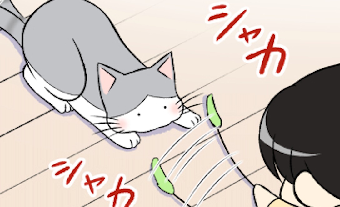 【漫画】第114話：ほっぺが膨らんで激カワ♡遊びに大興奮な猫くんに大注目【ぷぅすけくん】