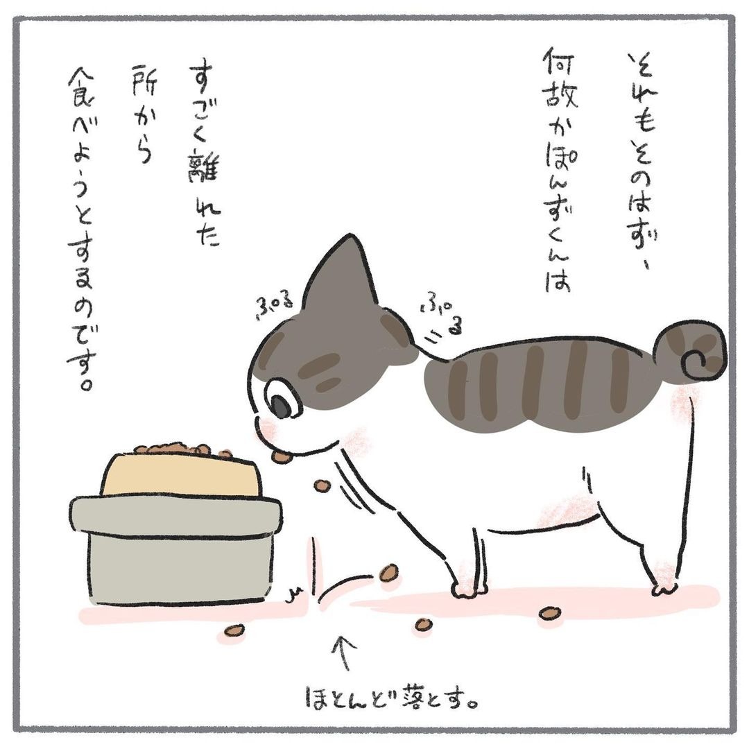 猫　こぼす　漫画
