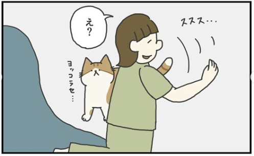 猫　横取り　漫画