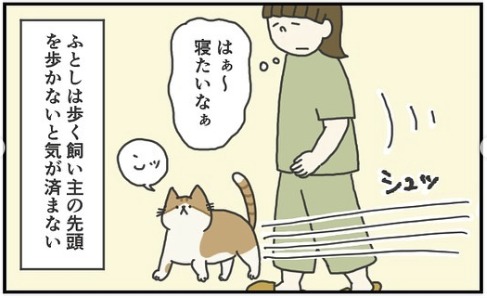 猫　歩く　漫画