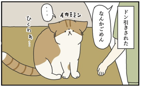 猫　イカミミ　漫画