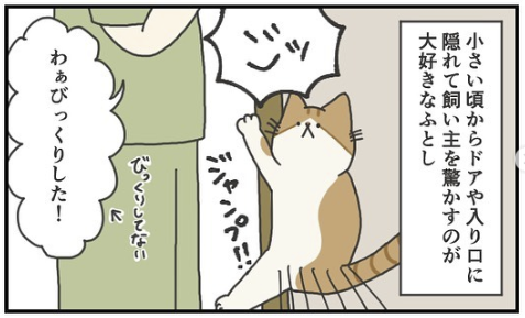 猫　ジャンプ　漫画　