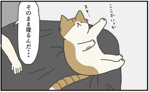 猫　眠気　漫画