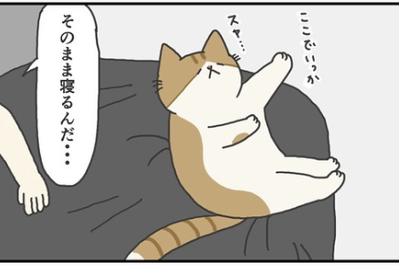 【漫画】第80話：「飼い主さんと寝たい」と思いつつも眠気には勝てないニャンコにクスッ【ふとしくん】