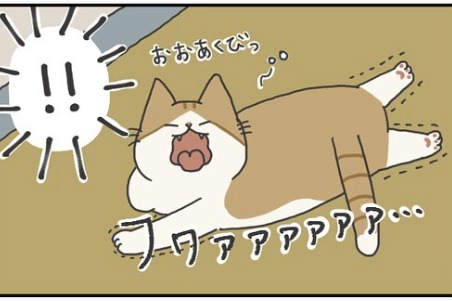 【漫画】第81話：「ふぁぁぁぁ」飼い主さんと奇跡的に同時にあくびをしてしまうニャンコ【ふとしくん】