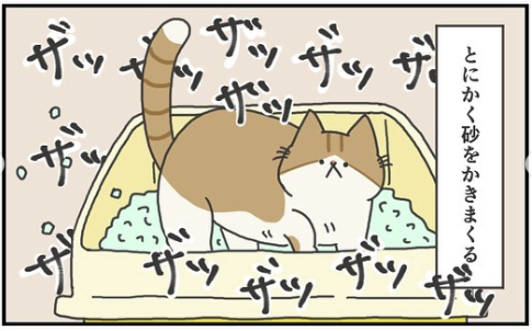 猫　砂　漫画