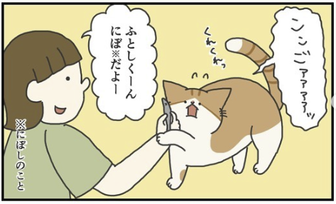 猫　にぼし　漫画