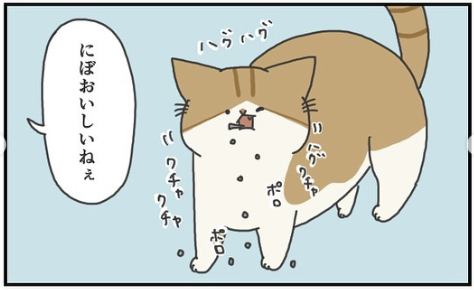 猫　ボロボロ　漫画