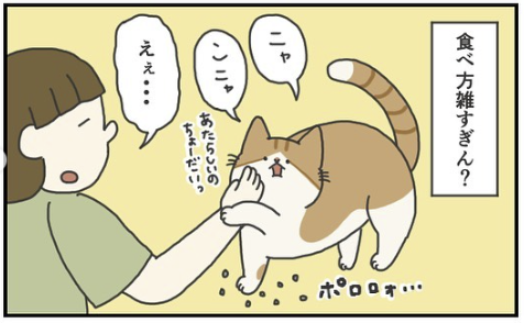 猫　食べ方　漫画