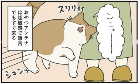 猫　アンテナ　漫画