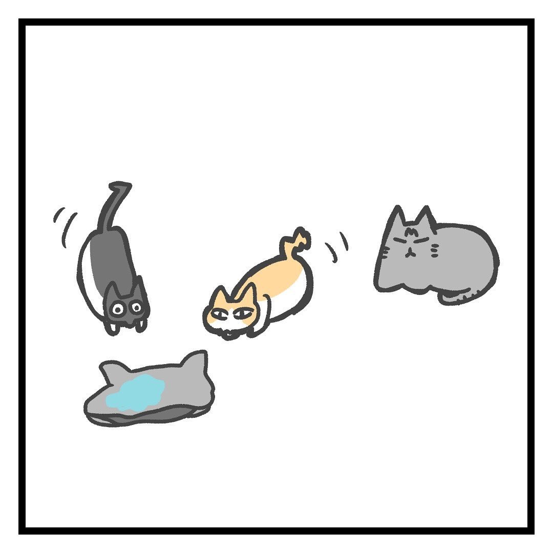 猫　無関心　漫画