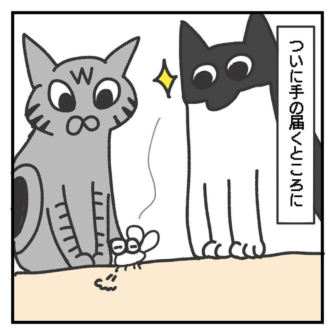 猫　届く　漫画