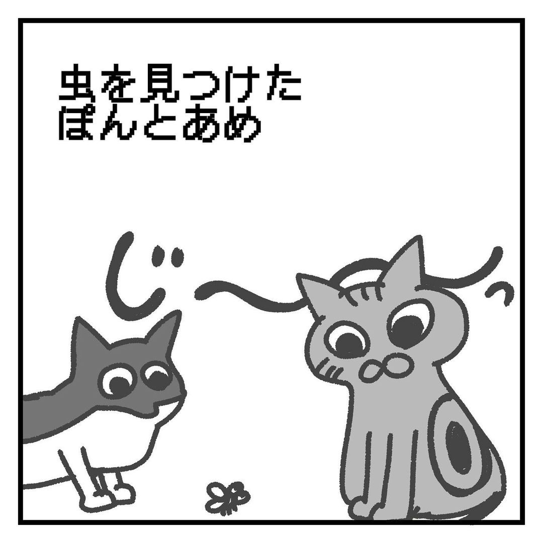 猫　見つける　漫画